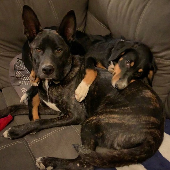 Meet your Posher, Ashley. - Picture 7 of 7